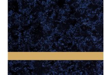 LT577-202 LT577-202